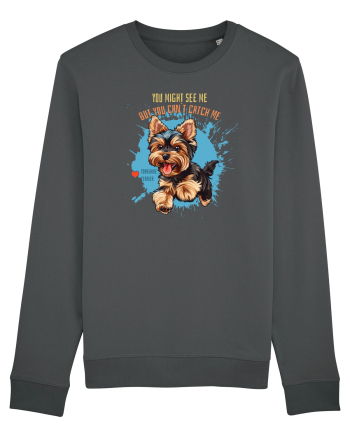 YOU MIGHT SEE ME, CAN`T CATCH ME - Yorkshire Terrier Anthracite