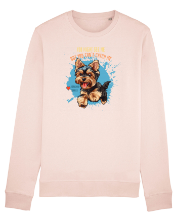 YOU MIGHT SEE ME, CAN`T CATCH ME - Yorkshire Terrier Candy Pink