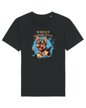 YOU MIGHT SEE ME, CAN`T CATCH ME - Yorkshire Terrier Black