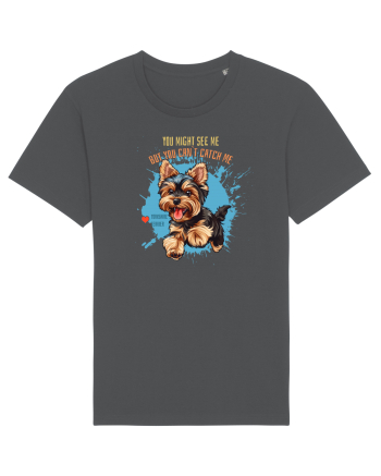 YOU MIGHT SEE ME, CAN`T CATCH ME - Yorkshire Terrier Anthracite