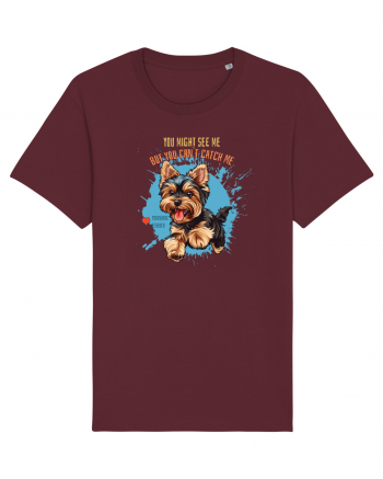 YOU MIGHT SEE ME, CAN`T CATCH ME - Yorkshire Terrier Burgundy
