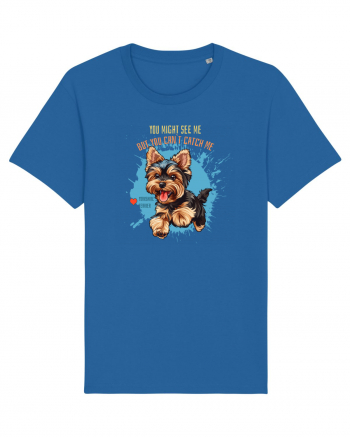 YOU MIGHT SEE ME, CAN`T CATCH ME - Yorkshire Terrier Royal Blue