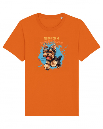YOU MIGHT SEE ME, CAN`T CATCH ME - Yorkshire Terrier Bright Orange