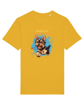YOU MIGHT SEE ME, CAN`T CATCH ME - Yorkshire Terrier Spectra Yellow