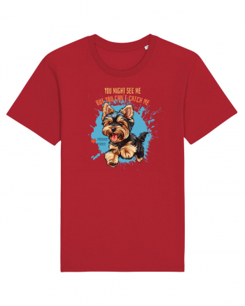 YOU MIGHT SEE ME, CAN`T CATCH ME - Yorkshire Terrier Red
