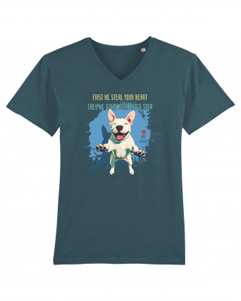 FIRST WE STEAL YOUR HEART, THEN YOUR BED & SOFA - Bull Terrier Stargazer