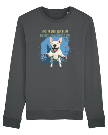 FIRST WE STEAL YOUR HEART, THEN YOUR BED & SOFA - Bull Terrier Anthracite