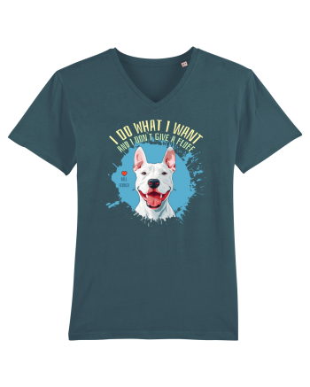 I DO WHAT I WANT & I DON`T GIVE A FLUFF - Bull Terrier Stargazer