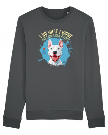 I DO WHAT I WANT & I DON`T GIVE A FLUFF - Bull Terrier Anthracite