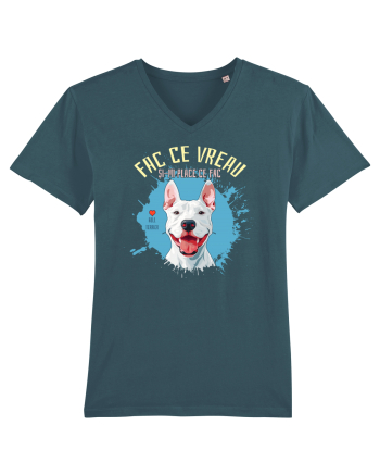 FAC CE VREAU SI-MI PLACE CE FAC - Bull Terrier Stargazer