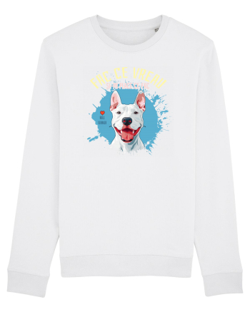 FAC CE VREAU SI-MI PLACE CE FAC - Bull Terrier White