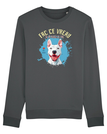 FAC CE VREAU SI-MI PLACE CE FAC - Bull Terrier Anthracite