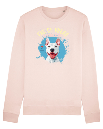 FAC CE VREAU SI-MI PLACE CE FAC - Bull Terrier Candy Pink