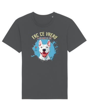 FAC CE VREAU SI-MI PLACE CE FAC - Bull Terrier Anthracite