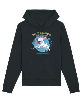 SORRY  4 BEING ANNOYING, IT WILL HAPPEN AGAIN - Bull Terrier Black