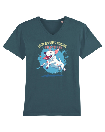 SORRY  4 BEING ANNOYING, IT WILL HAPPEN AGAIN - Bull Terrier Stargazer