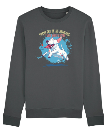 SORRY  4 BEING ANNOYING, IT WILL HAPPEN AGAIN - Bull Terrier Anthracite