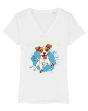 LIVE LIKE SOMEBODY LEFT THE GATE OPEN - Russell Terrier White