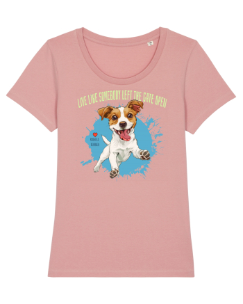 LIVE LIKE SOMEBODY LEFT THE GATE OPEN - Russell Terrier Canyon Pink