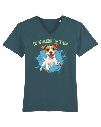 LIVE LIKE SOMEBODY LEFT THE GATE OPEN - Russell Terrier Stargazer