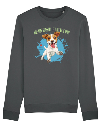 LIVE LIKE SOMEBODY LEFT THE GATE OPEN - Russell Terrier Anthracite