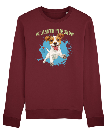 LIVE LIKE SOMEBODY LEFT THE GATE OPEN - Russell Terrier Burgundy