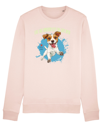 LIVE LIKE SOMEBODY LEFT THE GATE OPEN - Russell Terrier Candy Pink