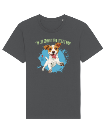 LIVE LIKE SOMEBODY LEFT THE GATE OPEN - Russell Terrier Anthracite