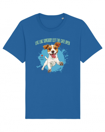 LIVE LIKE SOMEBODY LEFT THE GATE OPEN - Russell Terrier Royal Blue