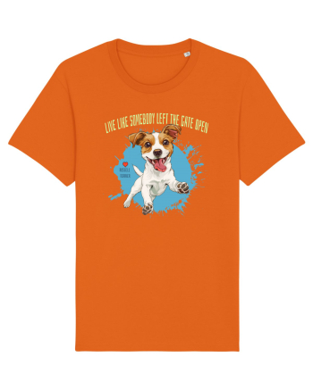 LIVE LIKE SOMEBODY LEFT THE GATE OPEN - Russell Terrier Bright Orange