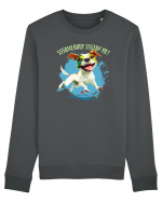 SOMEBODY STOP ME ! - Russell Terrier Bluză mânecă lungă Unisex Rise