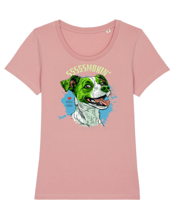 SMOKIN` ! - Russell Terrier Canyon Pink