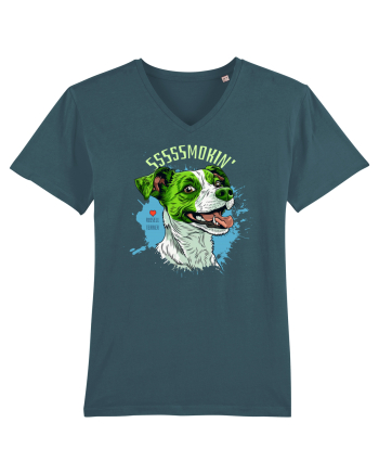 SMOKIN` ! - Russell Terrier Stargazer