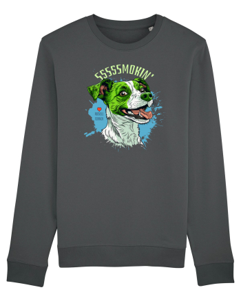 SMOKIN` ! - Russell Terrier Anthracite