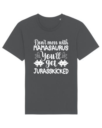 Don't Mess With Mamasaurus You'll Get Jurasskicked Anthracite