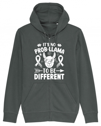 It's No Prob-Llama To Be Different Anthracite