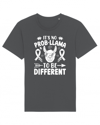 It's No Prob-Llama To Be Different Anthracite