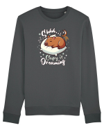 Capy Capybara Drăguț Somnoros Bluză mânecă lungă Unisex Rise