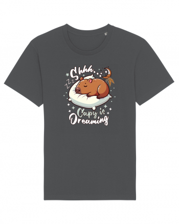 Capy Capybara Drăguț Somnoros Anthracite