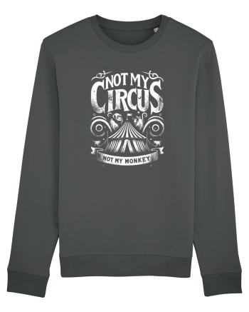 Not my Circus - not my monkey Anthracite