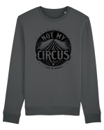 Not my Circus - not my monkey Bluză mânecă lungă Unisex Rise