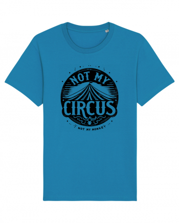 Not my Circus - not my monkey Azur