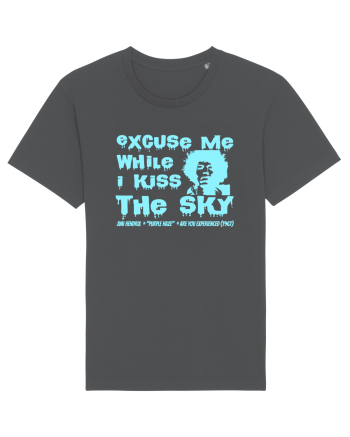 EXCUSE ME WHILE I KISS THE SKY - Jimi Hendrix 2 Anthracite