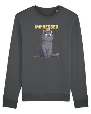 NOT IMPRESSED  2 Anthracite