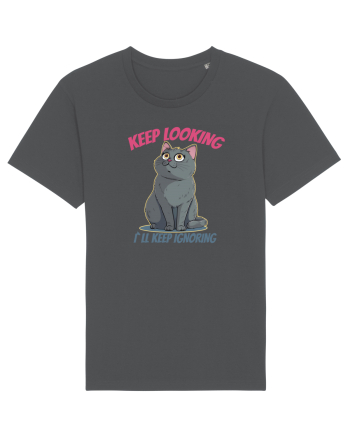 KEEP LOOKING, I`LL KEEP IGNORING Anthracite