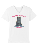 IF I KEEP LOOKING CUTE, THEY`LL BLAME IT ON SOMEONE ELSE Tricou mânecă scurtă guler V Bărbat Presenter