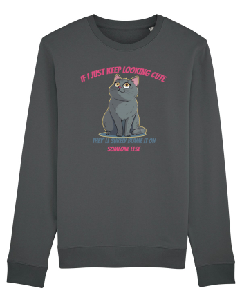 IF I KEEP LOOKING CUTE, THEY`LL BLAME IT ON SOMEONE ELSE Anthracite