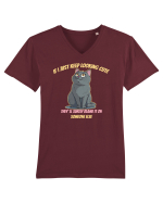 IF I KEEP LOOKING CUTE, THEY`LL BLAME IT ON SOMEONE ELSE 2 Tricou mânecă scurtă guler V Bărbat Presenter