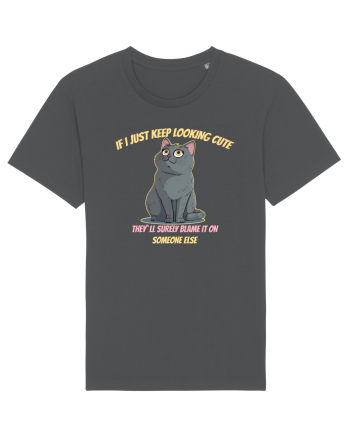 IF I KEEP LOOKING CUTE, THEY`LL BLAME IT ON SOMEONE ELSE 2 Anthracite