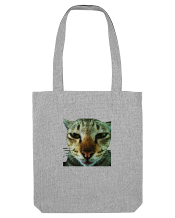 Cat mirage/Ce te miri? Heather Grey